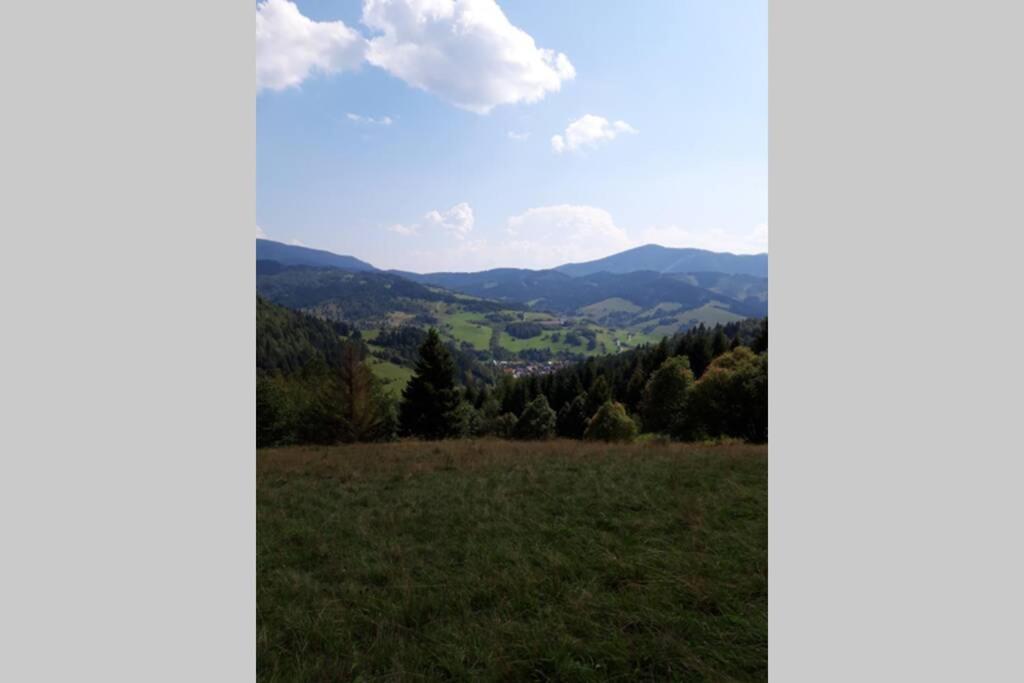 Horska Turistika S Domaci Atmosferou Apartment Dolny Kubin Exterior foto